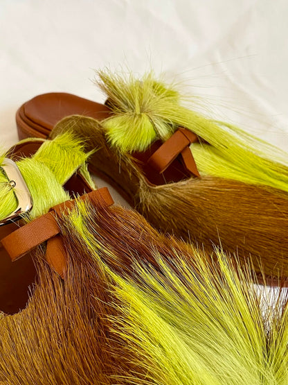 1. LARS FUNKY ROEBUCK + BROWN